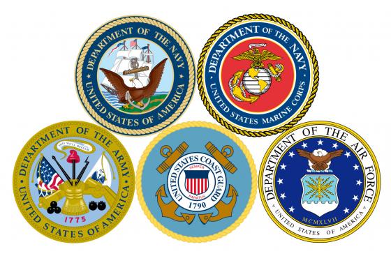 U.S. Military Branches: Which one is for you? – Union St. Journal