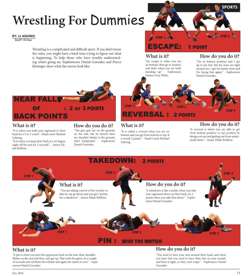 Wrestling for dummies
