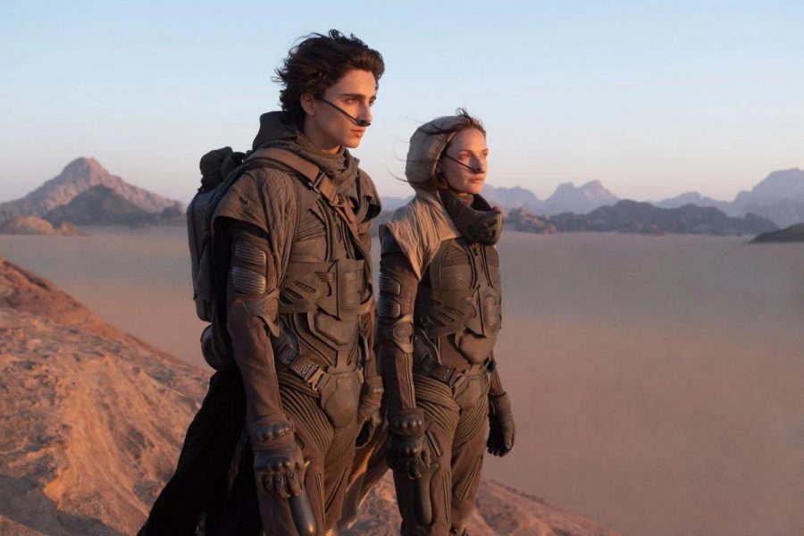 Dune (2021) starred Timothée Chalamet. Despite hyping up Zendayas role in the film, she only appeared in a short piece of it, much to many fans chagrin.
