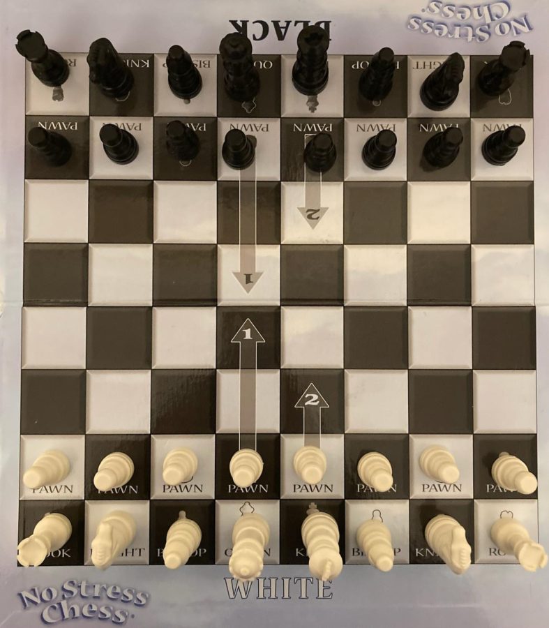 No Stress Chess Set, by Winning Moves Games 