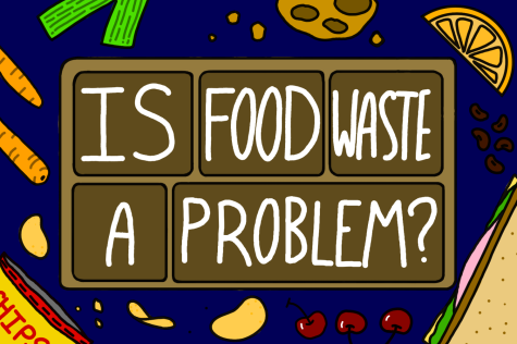 Is Food Waste a Problem?