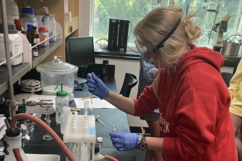 Senior Mollie Busch works in the lab on her project, which is a perfect example of how the Science Research class operates. Busch gathered her samples in North Carolina, demonstrating the freedom and flexibility the class offers to its students.