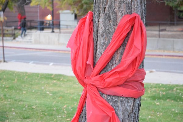 Large red ribbons are tied around trees outside of the Campus Middle School Parking lot to welcome the start or Red Ribbon Week.