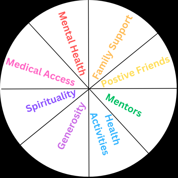 Sources of Strength is a club that focuses on providing new and healthy mental health solutions for students. They often use a version of this wheel to help students work with mental health.