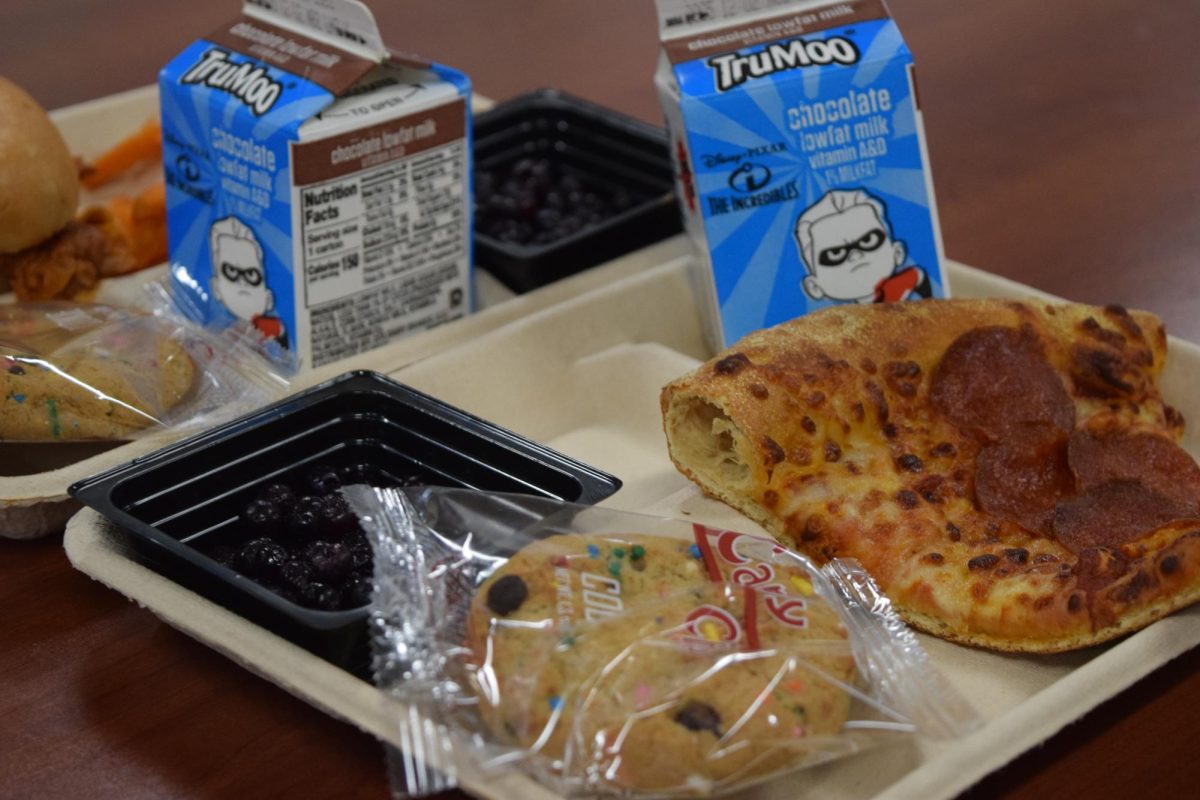 Lunch programs at Creek provide students with the opportunity to get lunch for free or reduced costs. However, recent threats of federal budget cuts have left services worried about how to provide for students.