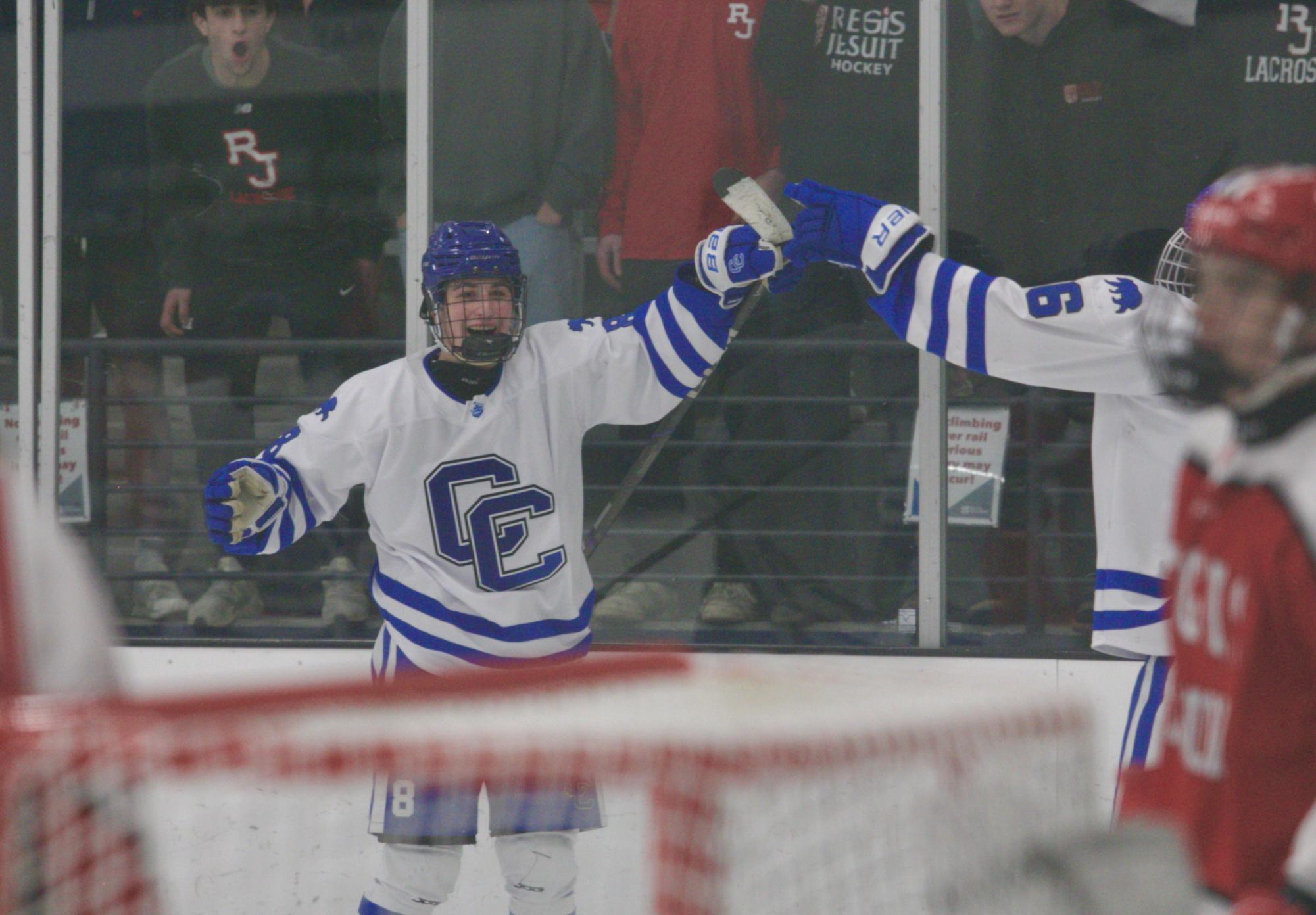 Boys Hockey Falls Short in the Postseason: Their Playoff Run Through Photos