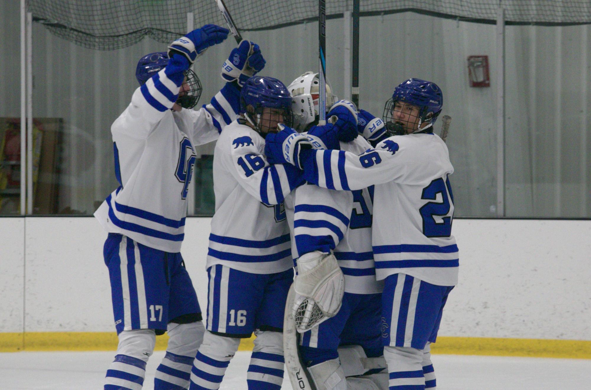 Boys Hockey Falls Short in the Postseason: Their Playoff Run Through Photos