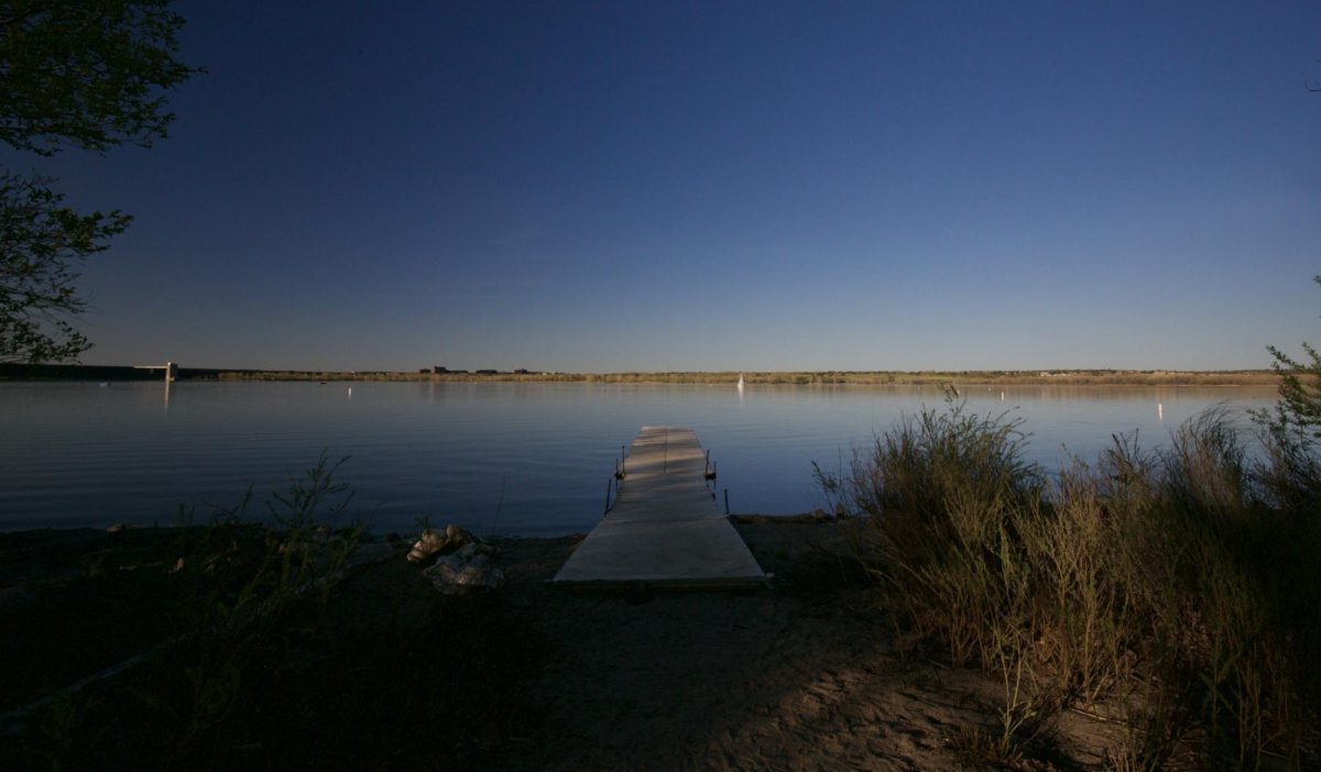 With CCSP's docks, beaches, and trails, visitors have the chance to observe all kinds of wildlife; fish, birds, insects, mammals, and more. 