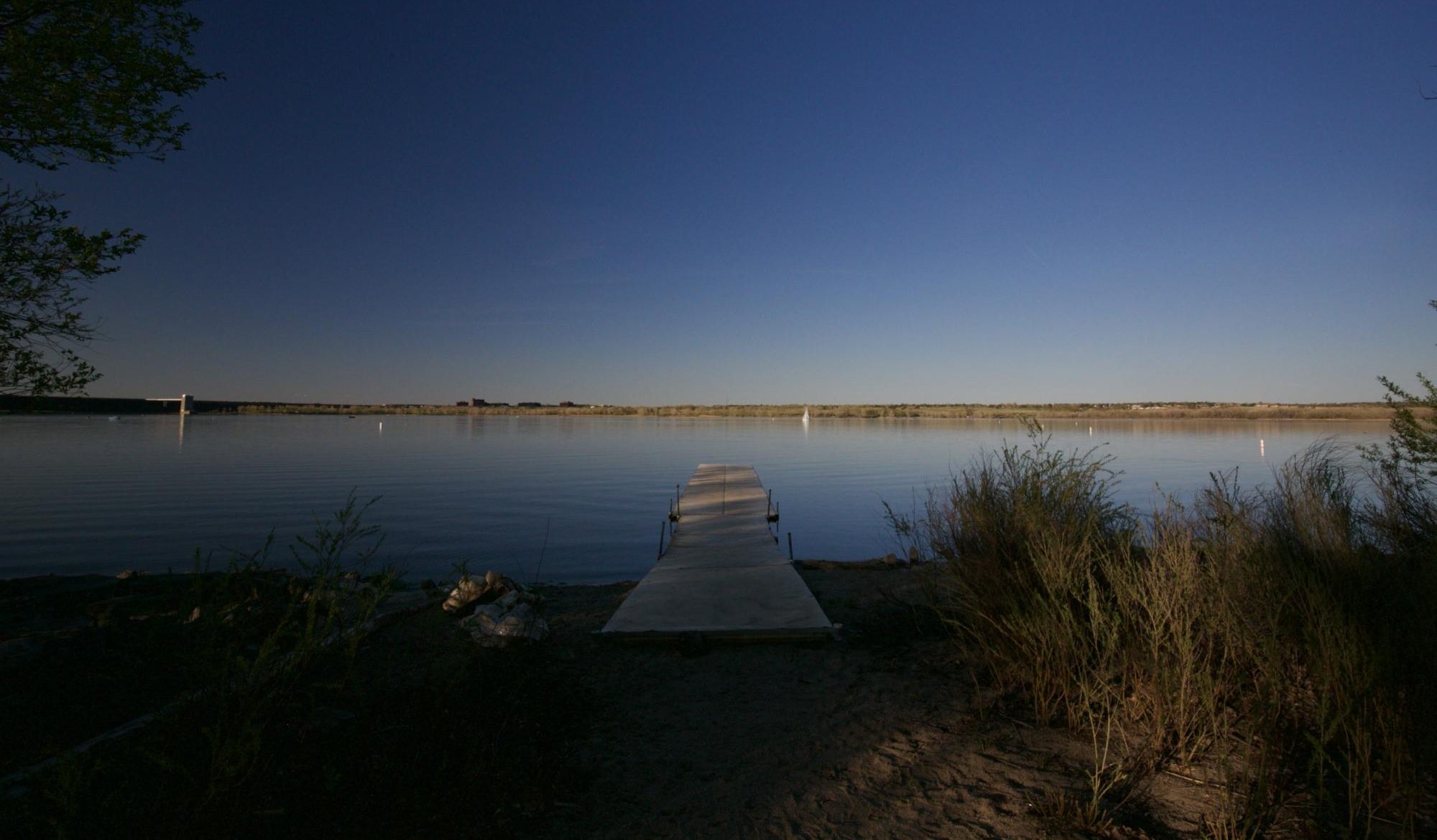 With CCSP's docks, beaches, and trails, visitors have the chance to observe all kinds of wildlife; fish, birds, insects, mammals, and more. 