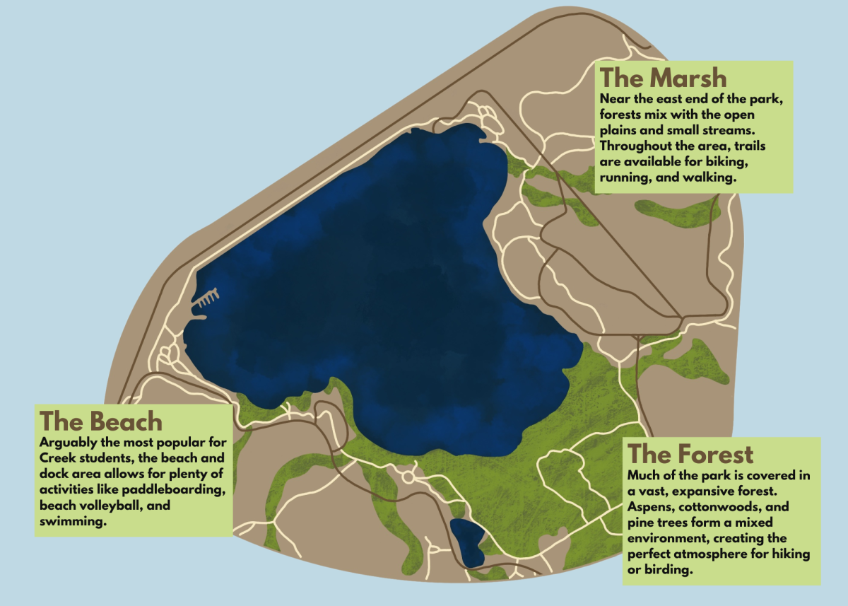 Welcome to the Park: Cherry Creek State Park is home to so many different kinds of activities, animals, and wildlife.