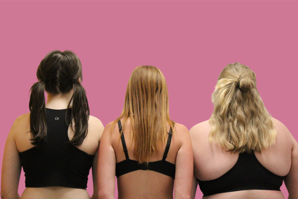 Bras are seen as a "Modern Woman's" struggle, but it should be seen as something deeper and reflected on as an effect of the years of oppression women have faced.