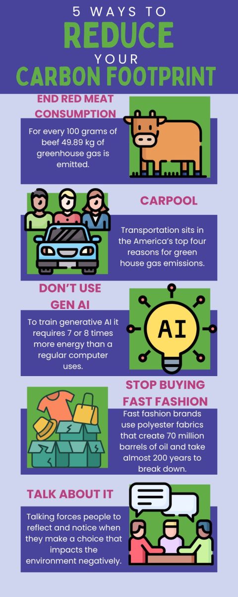 For teens it can feel like there is nothing you can do to improve the world but here are 5 easy things you can do to reduce your carbon footprint.